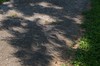 2017-08-21 Eclipse 270